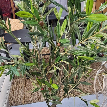 Olive Faux Tree Potted 180cm at Online8 Furniture Auckland NZ