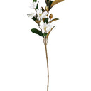 Pearl Magnolia Spray White 61cm at Online8 Furniture Auckland NZ