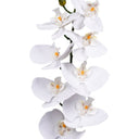Phalaenopsis Orchid White 86cm – Real Touch Faux Flora at Online8 Furniture Auckland NZ