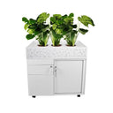 Planter Box at Online8 Furniture Auckland NZ