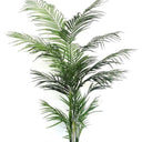 Potted Areca Palm 1.2m at Online8 Furniture Auckland NZ