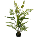 Potted Fern with black plastic pot 106cm at Online8 Furniture Auckland NZ