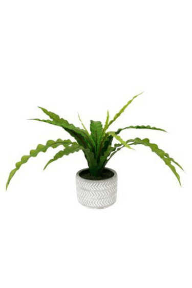 Potted Fern with Chevron Pot - 38cm Faux Plant at Online8 Furniture Auckland NZ
