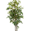 Potted Ficus Tree 1.5m at Online8 Furniture Auckland NZ