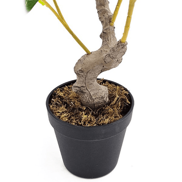 Potted Lamon Tree - Artificial Plant at Online8 Furniture Auckland NZ