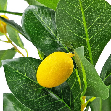 Potted Lamon Tree - Artificial Plant at Online8 Furniture Auckland NZ