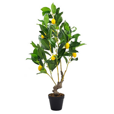 Potted Lamon Tree - Artificial Plant at Online8 Furniture Auckland NZ