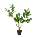 Potted Lamon Tree - Artificial Plant at Online8 Furniture Auckland NZ