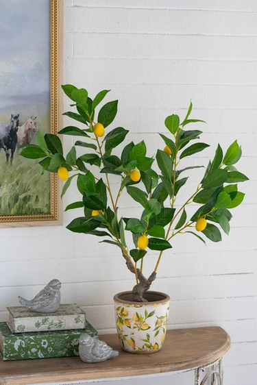 Potted Lamon Tree - Artificial Plant at Online8 Furniture Auckland NZ