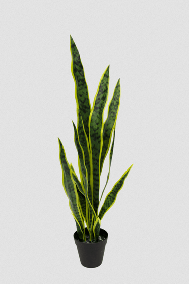 Potted Mother in Laws Tongue - 76cm Faux Plant at Online8 Furniture Auckland NZ