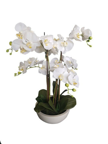Potted Real Touch Orchid White Pot 63cm at Online8 Furniture Auckland NZ