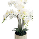 Potted Real Touch Phalaenopsis Orchid - 80cm at Online8 Furniture Auckland NZ