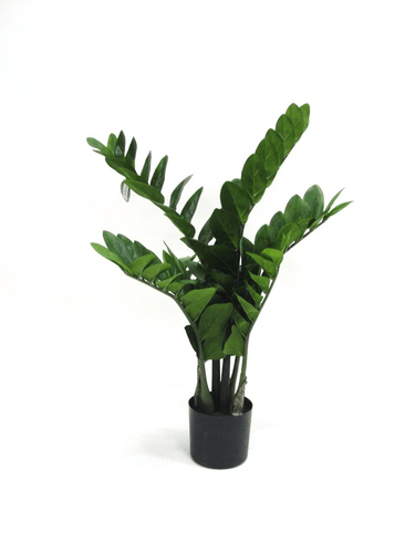 Potted Zamifolia Artificial Plant - 70cm at Online8 Furniture Auckland NZ