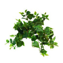 Puff Philo Hanging Bush at Online8 Furniture Auckland NZ