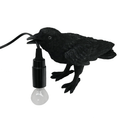 Raven Table Lamp at Online8 Furniture Auckland NZ