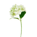 Real Touch Hydrangea - Green at Online8 Furniture Auckland NZ