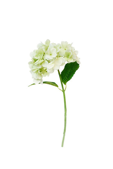 Real Touch Hydrangea - Green at Online8 Furniture Auckland NZ