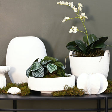 Rene 2 Handle Planter - White at Online8 Furniture Auckland NZ