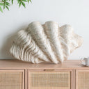 Resin Clam Shell - Large at Online8 Furniture Auckland NZ