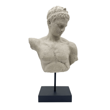Roman Bust - Statue at Online8 Furniture Auckland NZ