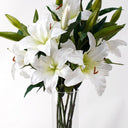 Rubrum Lily White at Online8 Furniture Auckland NZ