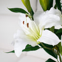 Rubrum Lily White at Online8 Furniture Auckland NZ