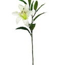 Rubrum Lily White at Online8 Furniture Auckland NZ