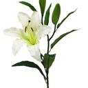 Rubrum Lily White at Online8 Furniture Auckland NZ