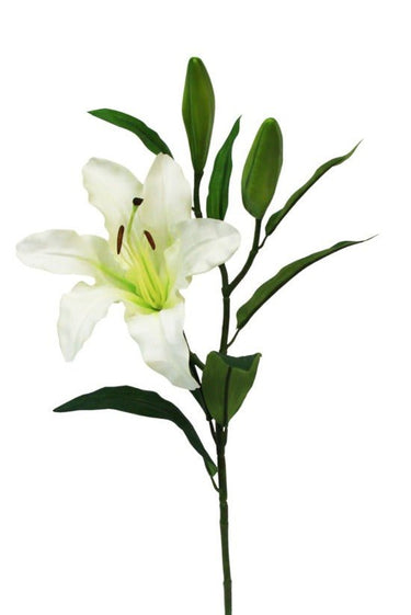 Rubrum Lily White at Online8 Furniture Auckland NZ