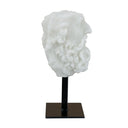 Sculpture on Stand at Online8 Furniture Auckland NZ