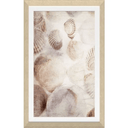 Seashells Framed Textured Print at Online8 Furniture Auckland NZ