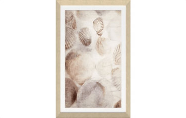 Seashells Framed Textured Print at Online8 Furniture Auckland NZ