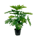 Selloum Philo Potted - 66cm Faux Plant at Online8 Furniture Auckland NZ