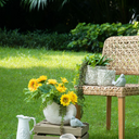 Shell Planter - Small at Online8 Furniture Auckland NZ