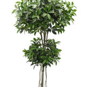 Shikiba Topiary Tree Potted 1.5m at Online8 Furniture Auckland NZ