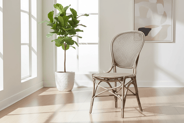 SIKA Originals Rossini Rattan Side Chair - Taupe at Online8 Furniture Auckland NZ