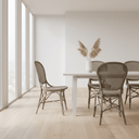 SIKA Originals Rossini Rattan Side Chair - Taupe at Online8 Furniture Auckland NZ