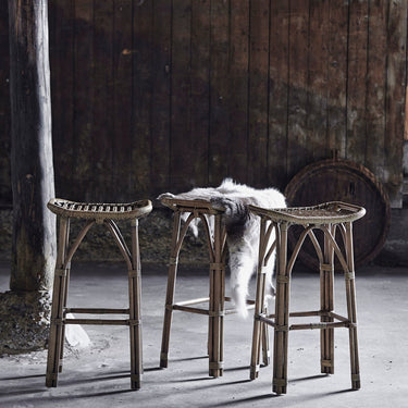 SIKA Originals Salsa Rattan Barstool - Antique 63cm at Online8 Furniture Auckland NZ