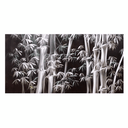 Silver Bamboo Aluminium Wall Art 60X120 at Online8 Furniture Auckland NZ