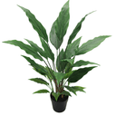 Spathiphyllum Vivaldi Potted - 91cm Faux Plant at Online8 Furniture Auckland NZ