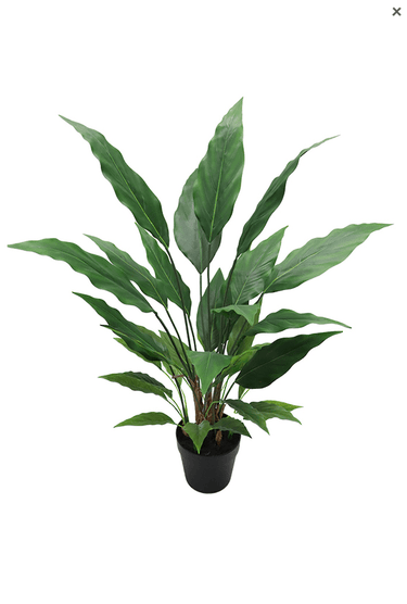 Spathiphyllum Vivaldi Potted - 91cm Faux Plant at Online8 Furniture Auckland NZ