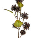 Spiky Pod Spray 73cm at Online8 Furniture Auckland NZ