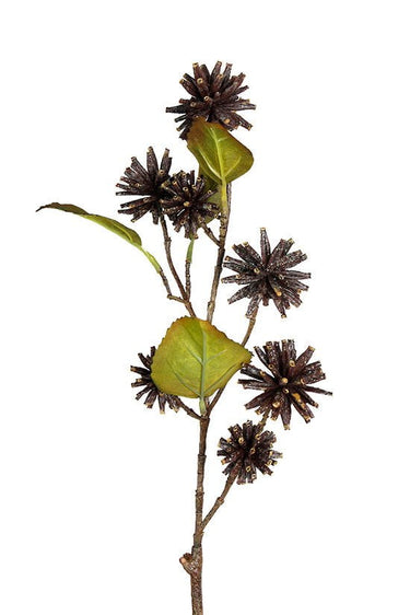 Spiky Pod Spray 73cm at Online8 Furniture Auckland NZ