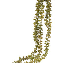 String of Pearls Spray Red/Green at Online8 Furniture Auckland NZ