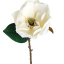 Sweetbay Magnolia 75cm Cream at Online8 Furniture Auckland NZ