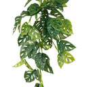 Swiss Cheese Hanging Bush at Online8 Furniture Auckland NZ