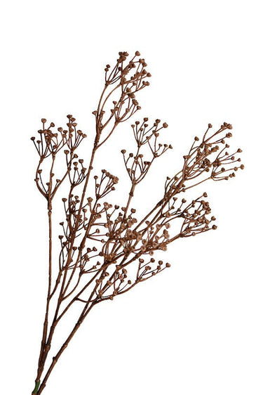 Talinum Spray 79cm at Online8 Furniture Auckland NZ