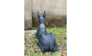 The statue of Anubis at Online8 Furniture Auckland NZ