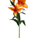 Tiger Lily Orange at Online8 Furniture Auckland NZ