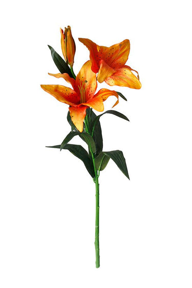Tiger Lily Orange at Online8 Furniture Auckland NZ